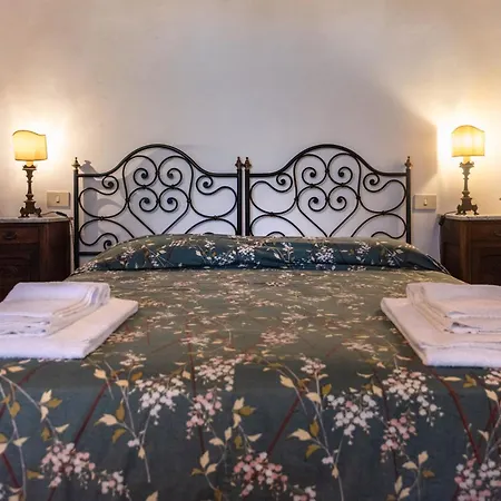 Colombina Σιένα